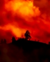 Wildfire devastated Santa Rosa Community Health Vista campus