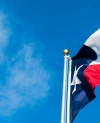 Texas state flag